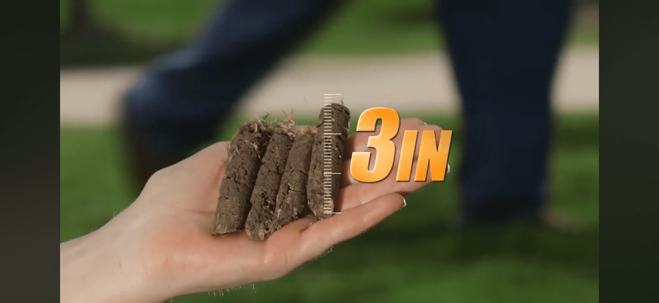 Soil core plugs left on the lawn surface after aeration
